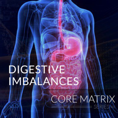 program-cm-digestive-imbalances-400x400