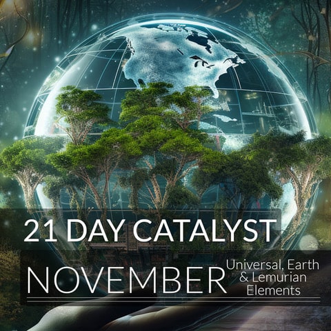 21 Day Covers NOV 23
